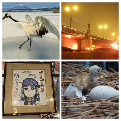 2022/5北海道の旅　景色を求めてぶらぶら　釧路滞在編