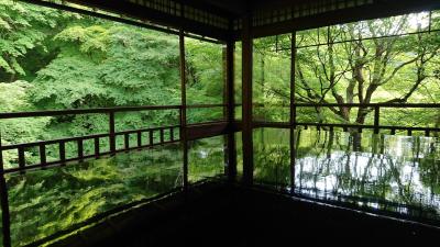 ダーワに泊まる5月の京都