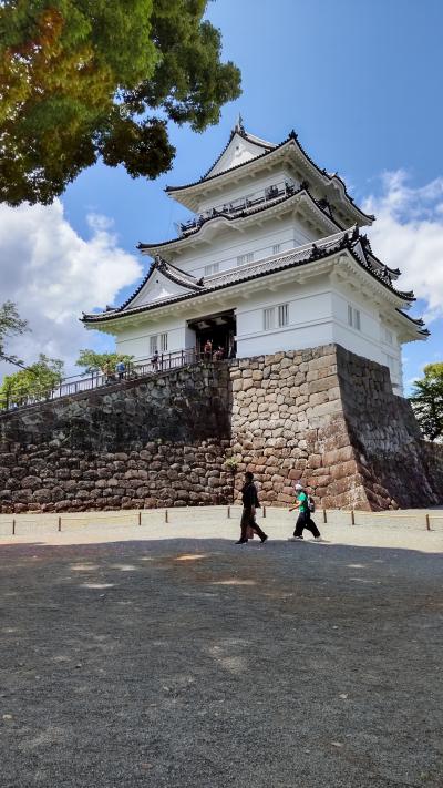 2022年5月 一年半ぶりに一人旅の予行演習として小田原城に行ってきました