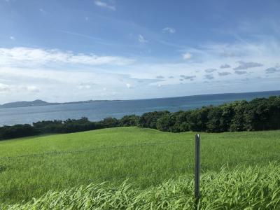 【前半　石垣島西表島由布島編】夫婦で行く石垣島・宮古島！～雨と曇りの新婚旅行～