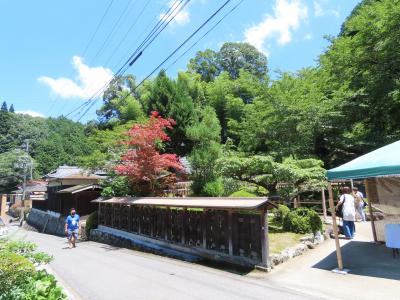 京都 宇治田原 正寿院(Shojuin temple,Ujitawara,Kyoto,JP)
