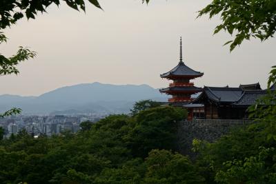 ほぼ初京都