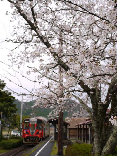 若桜鉄道でお花見駅巡り　②八東・安部・因幡船岡・若桜