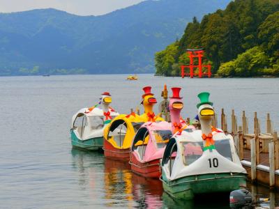 神奈川県民割　箱根バスツアー