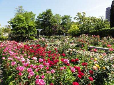 阿波・徳島　薫風にふかれて徳島城跡から旧讃岐街道・志度・高松をぶらぶら歩き旅ー２