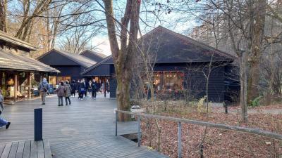 陸海空利用の旅　新潟、草津温泉、軽井沢　その２