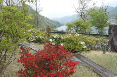 春の上信越バカンス♪　Vol.19 ☆道の駅八ッ場　春の花と青い湖の競演♪