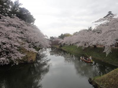 春の予感。