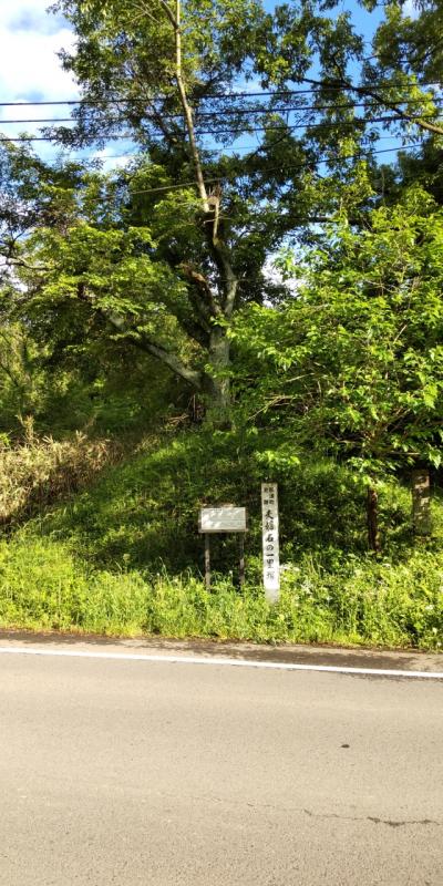 4-旧奥州街道  大田原入口(新富3丁目バス停) ～芦野温泉ホテル(5/23 21.5㎞)