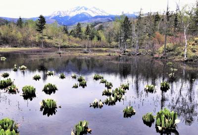 ２０２２年５月、春の飛騨高山～信州を行く！ー飛騨千光寺～匠の館森の水族館そして乗鞍高原（１/５）