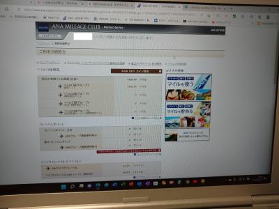 祝ANAマイレージクラブ16万マイル突破！！！粘ればいくらでも飛行機で飛ばないでもマイルは溜まるの巻
