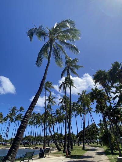 ハワイに関する旅行記 ブログ フォートラベル ハワイに関する旅行記 ブログ フォートラベル