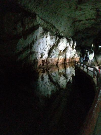 山口県　行きたい所一杯の旅