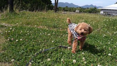 鳥見山敗退からの宇陀の町さんぽ