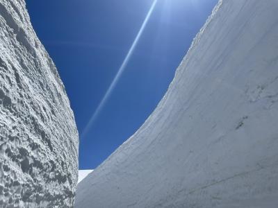 雪の大谷ウォークへ行きたくて。。。必然的について来た立山黒部アルペンルート