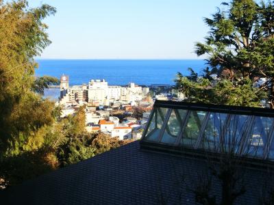 横浜と熱海を楽しむ旅