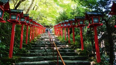 舐めてました(&gt;_&lt;)　鞍馬～貴船 ハイキング で猛反省 + 圓光寺