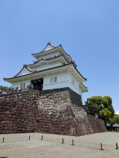 小田原！ 路地裏さんぽ！