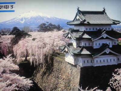 弘前は、今年も綺麗でした　！！