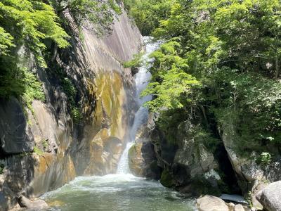 昇仙峡・ワイナリー・さくらんぼ狩り・ハーブ庭園　バスツアー