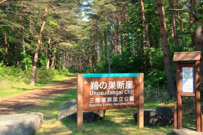 鵜の巣断崖(岩手県田野畑村)へ・・・