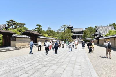 新緑の奈良を満喫する！（7/10）