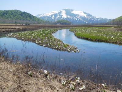 水芭蕉シーズンの尾瀬ケ原その1