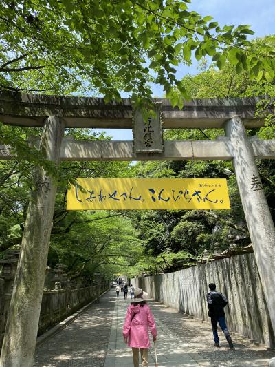 高知県市内にらくらく2連泊！四国7つの名所と「こじゃんとうまい」高知グルメ旅　3日間 故郷にツァーで行ってみた