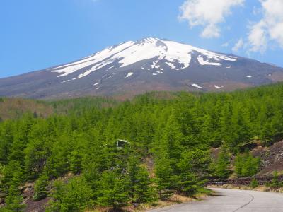 富士山東南麓１泊２日 水源を辿る旅