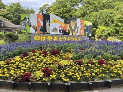 野毛山動物園へ