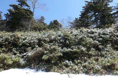 春の上信越バカンス♪　Vol.32 ☆万座温泉　季節外れ雪景色の万座峠♪