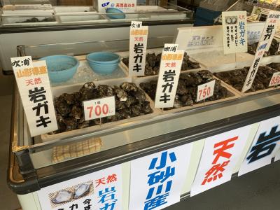 道の駅のさかなやに、岩がきが。