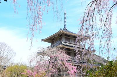 背景に富士山が欲しい『浄専寺』