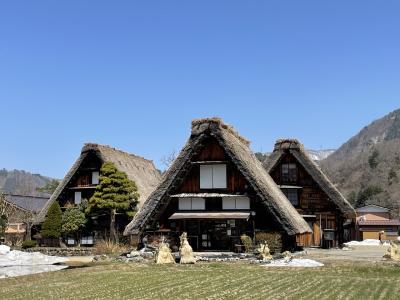 桜の金沢と白川郷2日目 白川郷編