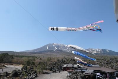 春の上信越バカンス♪　Vol.38 ☆鬼押出し園　鯉のぼり♪