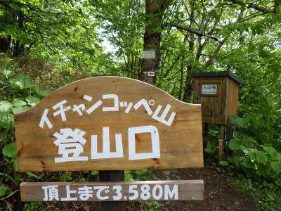 イチャンコッペ山、ふたたび