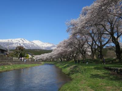 2022年4月 山形の温泉と桜を楽しむ旅＜第2日＞遊佐町→肘折温泉