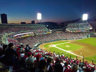 カープ観戦記 勝敗よりも、戻りつつある日常と平和に感謝