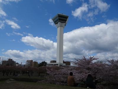 函館　一日どんな観光になるでしょう！