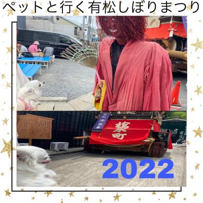 ペットと行く 名古屋有松絞りまつり2022