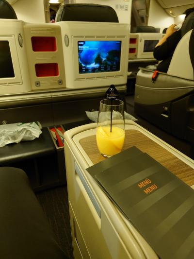 イスタンブール 機内食 に関する旅行記 ブログ フォートラベル トルコ Istabul