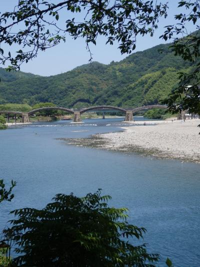 梅雨入り前に菖蒲の花見を兼ねて岩国へ