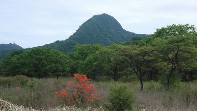 初夏の山旅２　ツツジ咲く榛名山