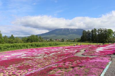 三島さんちの芝桜庭園を見てきた