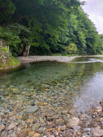 ペット連れで行く「栃木県民一家族一旅行」初夏編