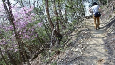 花見の盛りを過ぎた京都、ヤマザクラと時代劇ロケ地を。