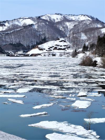 新潟　春「 雪流れ &amp; 春花めぐり 」の旅＜新潟県魚沼市・長岡市・柏崎市・五泉市・西蒲原郡・新潟市＞