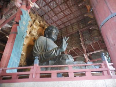久々の関西旅！～近鉄奈良駅周辺、奈良公園、氷室神社、東大寺大仏殿をひとり散歩～