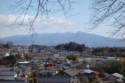 箕輪城 柳沢寺 伊勢崎の街朝散歩