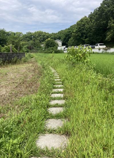 徳島’22 ④歩き遍路～高松へ移動